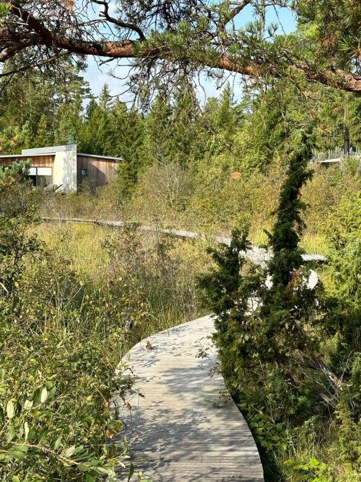 梅文海滨山林小屋 Kappelshamn 外观 照片