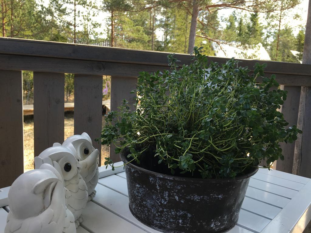 梅文海滨山林小屋 Kappelshamn 外观 照片